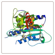 Rat Fructose-1,6-bisphosphatase 1 , FBP1 ELISA Kit