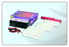 runVIEW system complete with 15 x 7cm gel tray, 1 set of casting dams and 8 double-sided combs