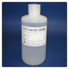 25x Tris Glycine Transfer Buffer, 500ml