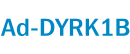 Ad-DYRK1B