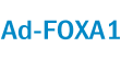 Ad-FOXA1