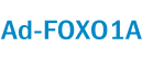 Ad-FOXO1A