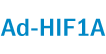 Ad-HIF1A