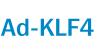 Ad-KLF4