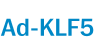 Ad-KLF5