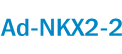 Ad-NKX2-2