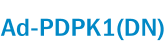 Ad-PDPK1(DN)