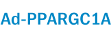 Ad-PPARGC1A