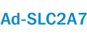 Ad-SLC2A7