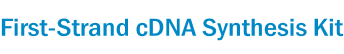 First-Strand cDNA Synthesis Kit