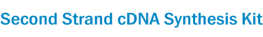 Second Strand cDNA Synthesis Kit